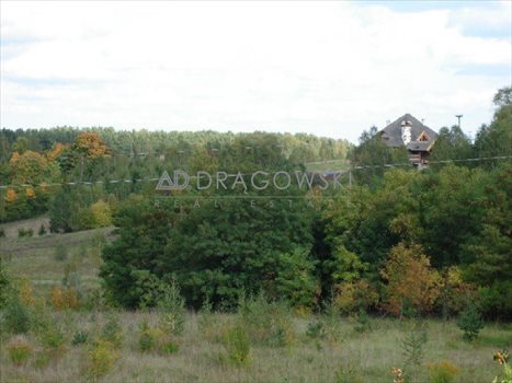 Działka budowlana na sprzedaż Charzykowy 2 615m2 Foto 4