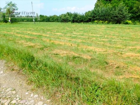 Działka budowlana na sprzedaż Nowy Sącz 1 279m2 Foto 3