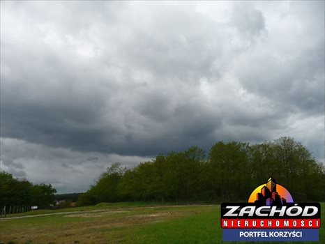 Działka budowlana na sprzedaż Przytok 22 600m2 Foto 6