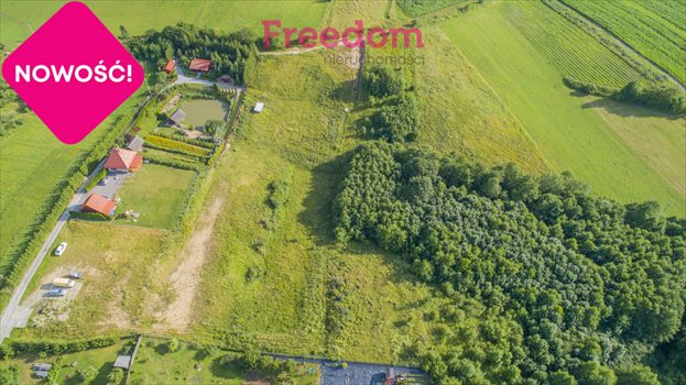 Działka budowlana na sprzedaż Łęcze 1 221m2 Foto 5