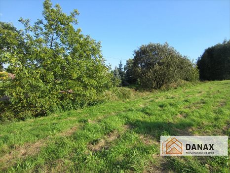 Działka budowlana na sprzedaż Trąbki 1 037m2 Foto 4