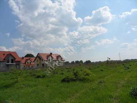Działka inna na sprzedaż Gliwice, Brzezinka 20 080m2 Foto 2