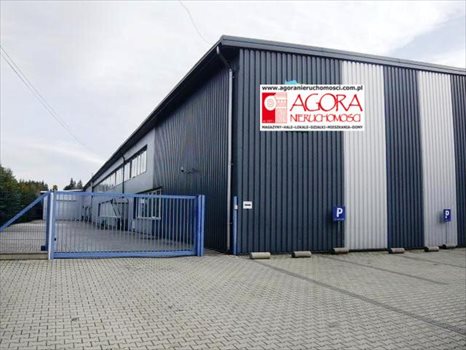 Lokal użytkowy na wynajem Nowy Targ 2 000m2 Foto 4