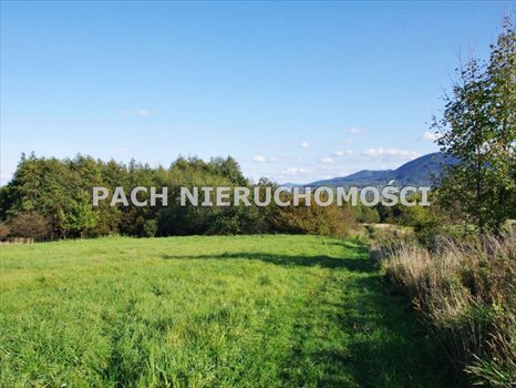 Dom na sprzedaż Bujaków 234m2 Foto 8