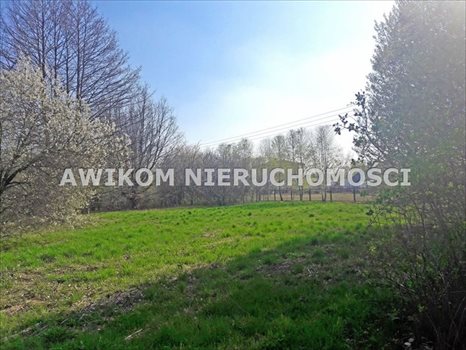 Działka budowlana na sprzedaż Jaktorów 4 500m2 Foto 4
