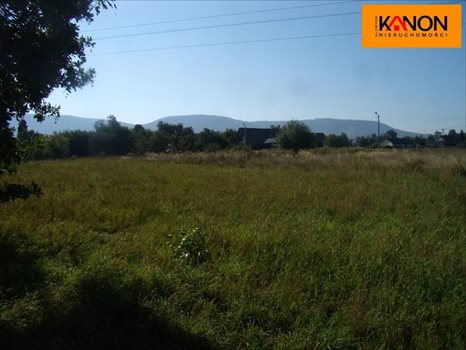 Działka budowlana na sprzedaż Kozy 2 504m2 Foto 2