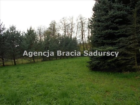 Działka rolna na sprzedaż Januszowice 2 800m2 Foto 8