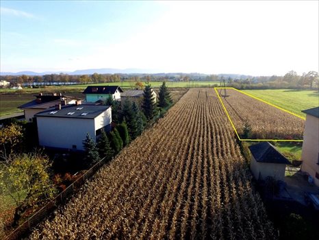 Działka budowlana na sprzedaż Dankowice, Spokojna 3 787m2 Foto 2