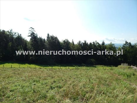 Działka budowlana na sprzedaż Mszana Dolna 7 500m2 Foto 5
