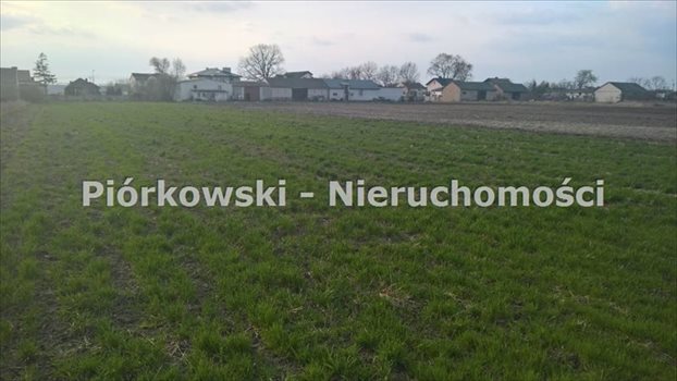 Działka inna pod dzierżawę Sokołów, Rodzinna 6 000m2 Foto 4