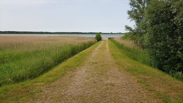 Działka budowlana na sprzedaż Jezierzany 5 000m2 Foto 9