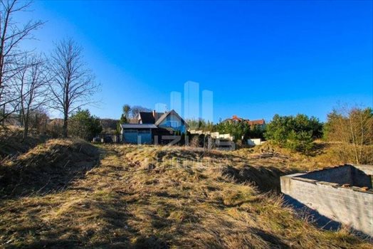 Działka inna na sprzedaż Bielkówko, Dworcowa 10 000m2 Foto 9