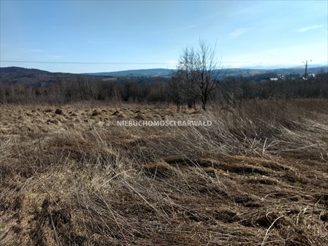 Działka inna na sprzedaż Barwałd Średni 1 900m2 Foto 2