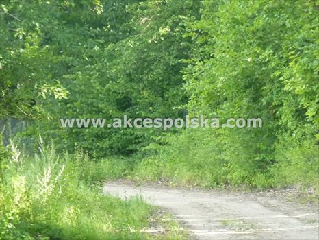 Działka budowlana na sprzedaż Warszawa, Wilanów, Rzodkiewki 2 350m2 Foto 4
