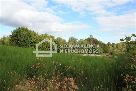 Działka budowlana na sprzedaż Tokary 2 540m2 Foto 5