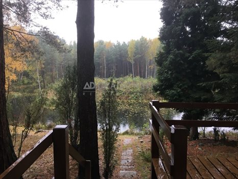 Działka rekreacyjna na sprzedaż Wólka Mlęcka 4 500m2 Foto 12