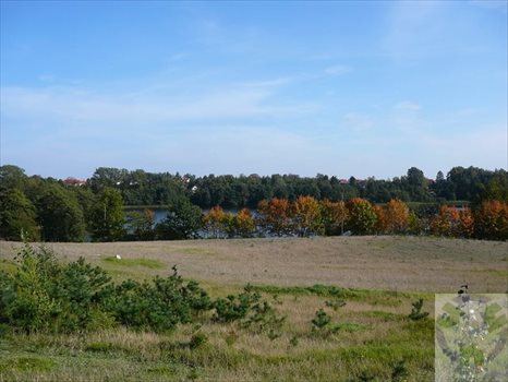Działka inna na sprzedaż Kamień, Tymiankowa 1 532m2 Foto 4