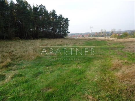 Działka budowlana na sprzedaż Łódź 10 976m2 Foto 5