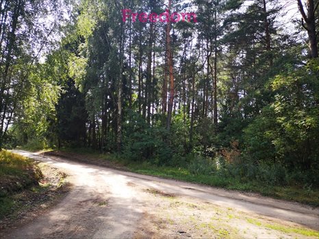 Działka budowlana na sprzedaż Orzechowo 24 300m2 Foto 6