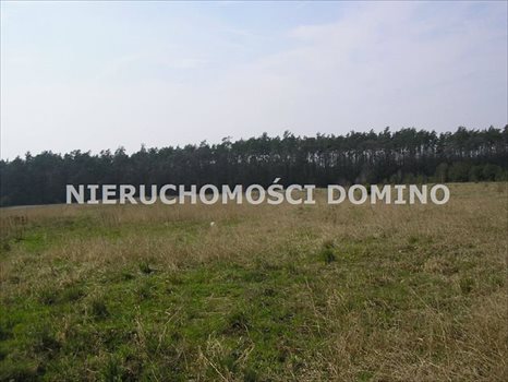 Działka inna na sprzedaż Dłutów 19 000m2 Foto 1