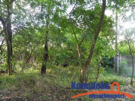 Działka budowlana na sprzedaż Szczecin, Kijewko 3 200m2 Foto 2
