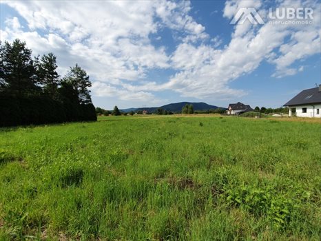 Działka budowlana na sprzedaż Czaniec 773m2 Foto 9