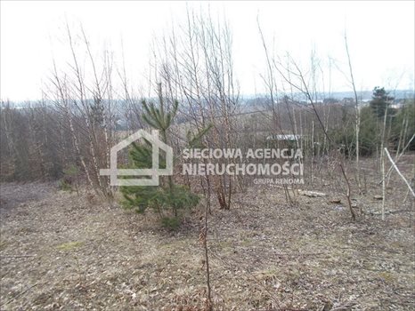 Działka budowlana na sprzedaż Łapalice 2 209m2 Foto 5