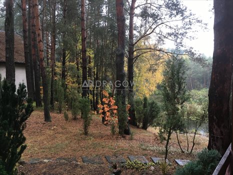 Działka rekreacyjna na sprzedaż Wólka Mlęcka 4 500m2 Foto 10