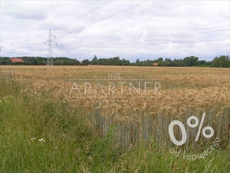 Działka rolna na sprzedaż Rzgów 8 391m2 Foto 5