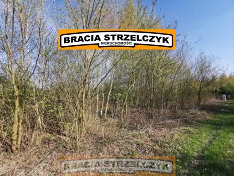 Działka budowlana na sprzedaż Ludwików 985m2 Foto 3