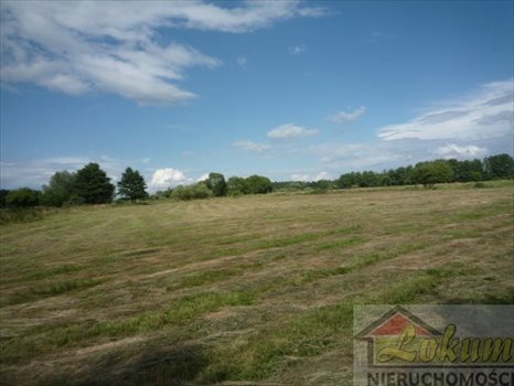 Działka rekreacyjna na sprzedaż Dębostrów 8 100m2 Foto 1