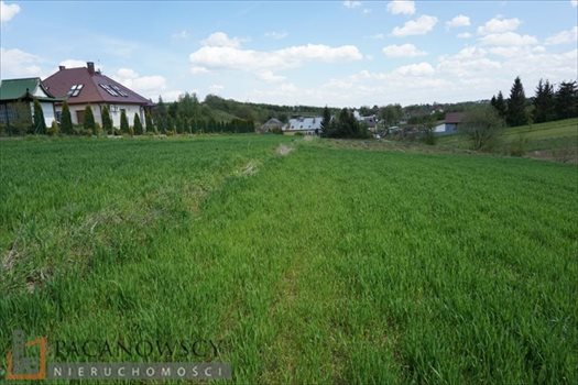 Działka budowlana na sprzedaż Cianowice Duże 2 990m2 Foto 4
