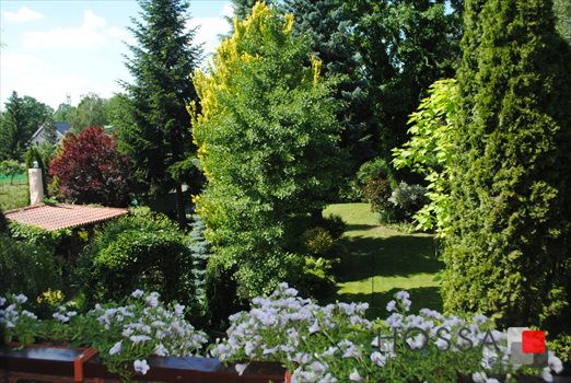 Dom na sprzedaż Milanówek, Jasna 350m2 Foto 9