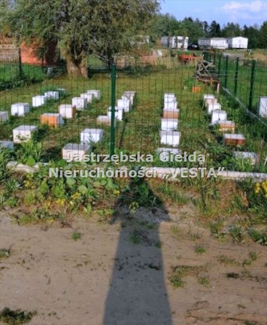 Działka rekreacyjna na sprzedaż Olza 198m2 Foto 3