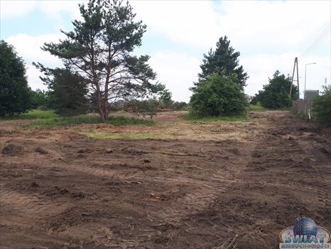 Działka budowlana na sprzedaż Trzebicz 1 455m2 Foto 4