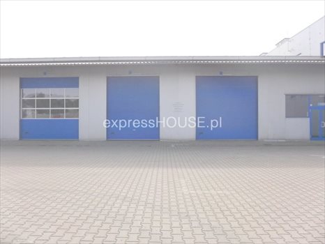 Lokal użytkowy na sprzedaż Kazimierzówka 4 500m2 Foto 7