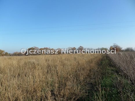 Lokal użytkowy na sprzedaż Gościeradz 127 980m2 Foto 9