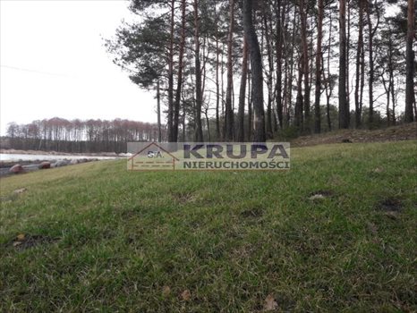 Działka inwestycyjna na sprzedaż Borki 98 000m2 Foto 5