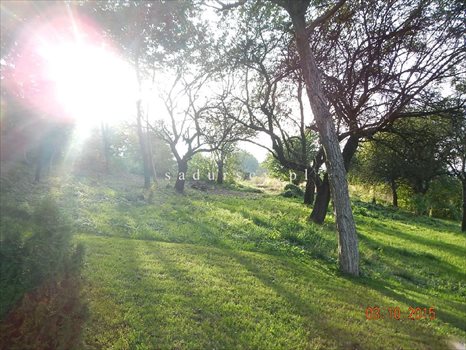 Działka budowlana na sprzedaż Kraków, Zwierzyniec, Olszanica, Pod Skałą 2 031m2 Foto 1
