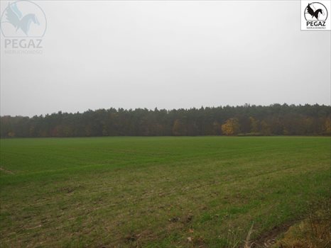 Działka rolna na sprzedaż Lechlin 50 000m2 Foto 6