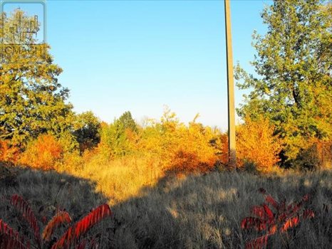 Działka budowlana na sprzedaż Wołomin, Lipiny B, 1-go Maja 4 351m2 Foto 3