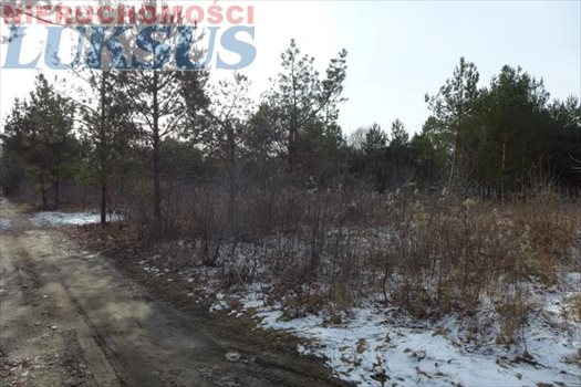 Działka budowlana na sprzedaż Łoś, Łoś 1 000m2 Foto 6