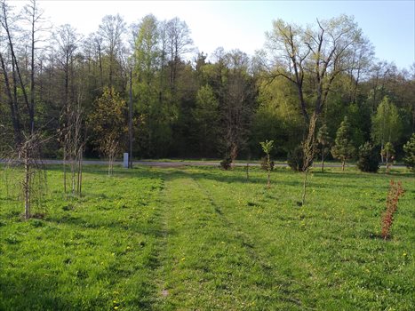 Dom na sprzedaż Garwolin, Garwolin okolice 242m2 Foto 12