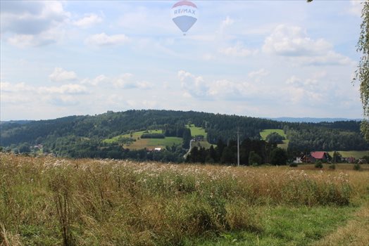 Działka budowlana na sprzedaż Rabka-Zdrój 4 338m2 Foto 11