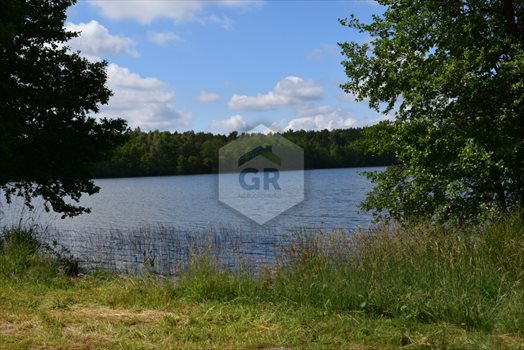 Dom na sprzedaż Dobrogoszcz 300m2 Foto 11
