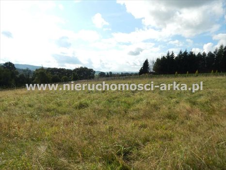 Działka inna na sprzedaż Rabka-Zdrój 3 000m2 Foto 3