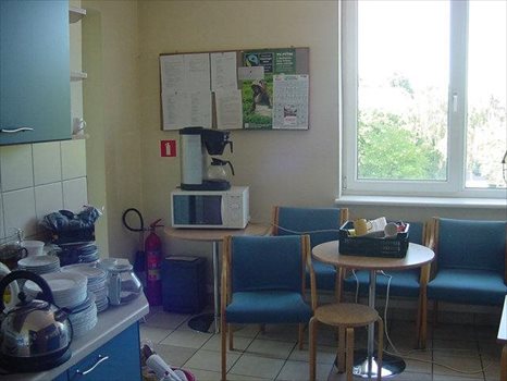 Lokal użytkowy na wynajem Sopot, Dolny, 3 Maja 520m2 Foto 7