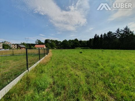 Działka budowlana na sprzedaż Czaniec 773m2 Foto 12