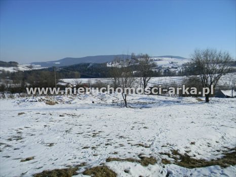 Działka budowlana na sprzedaż Dobra 14 000m2 Foto 1