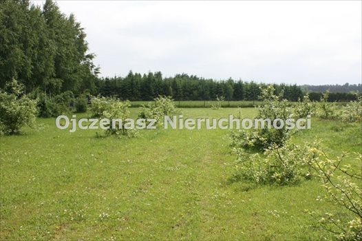 Działka budowlana na sprzedaż Żołędowo 1 595m2 Foto 4